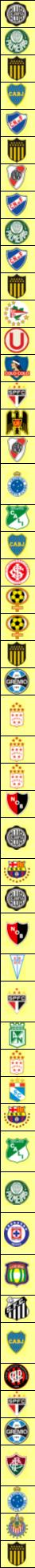 Copa Libertadores Runners-Up