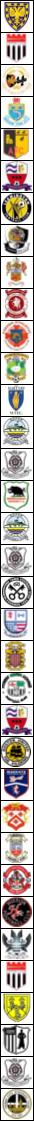 Southern Football League Champions 1894-95 to 2010-11