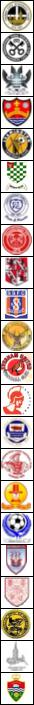 Southern Football League 2010-11
