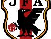 Japan National Team badge