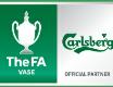 FA Vase logo